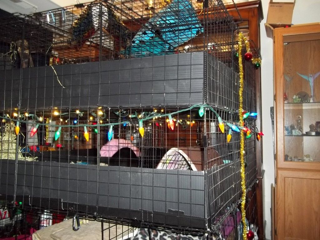 Cage Stacked C & C cage with lids